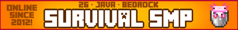 InsanityCraft bannière du serveur