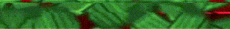 APPLEMC bannière du serveur
